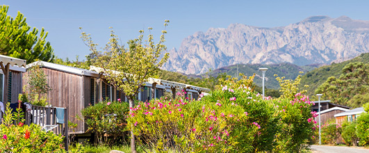 locations idéalement situées avec vue sur les montagnes de Corse